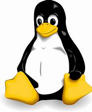 Linux网络编程及文件操作